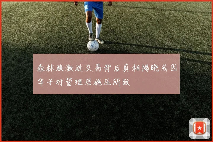 森林狼激进交易背后真相揭晓或因华子对管理层施压所致