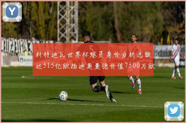 科特迪瓦世界杯球员身价分析总额达515亿欧扬迪奥曼德价值7500万欧